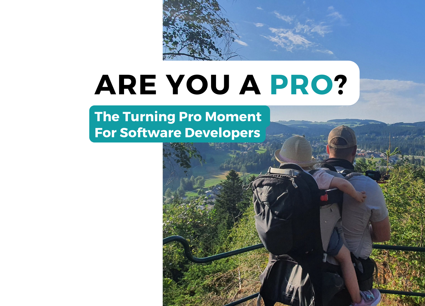 The Turning Pro Moment For Software Developers