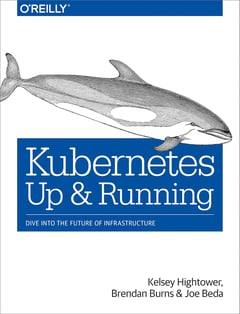 Kubernetes: Up and Running: Dive Into the Future of Infrastructure