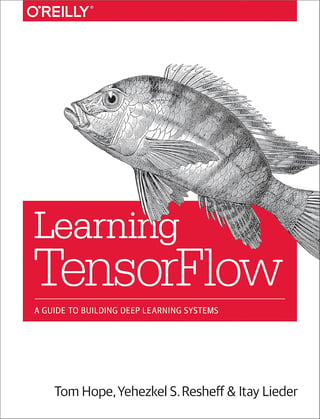 Learning TensorFlow