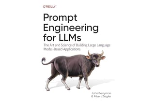 Prompt Engineering for LLMs: The Art and Science of Building Large Language Model–Based Applications