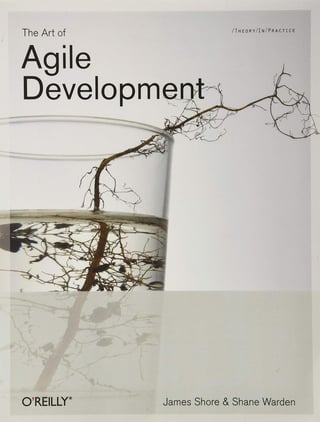 The Art of Agile Development