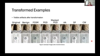 Video: Adversarial Examples are Misaligned in Diffusion Model Manifolds [Presentation at the IJCNN]