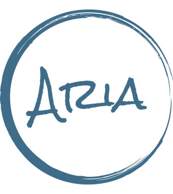 Link: Aria Dorri