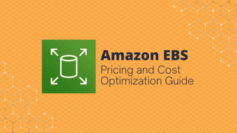 Article: AWS EBS Pricing and Cost Optimization Guide | CloudForecast Blog