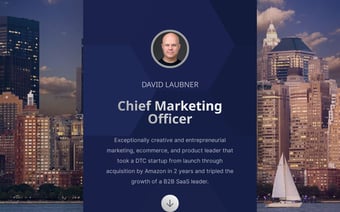 Link: Chief Marketing Officer, Chief Revenue Officer, Ecommerce Leader