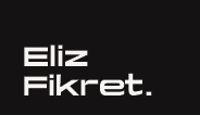 Link: Eliz Fikret - Experienced UX Designer & Researcher