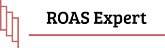 Link: ROAS Expert | Growth Marketing Agency