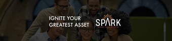 Link: Spark Your People | Ignite Your Greatest Asset