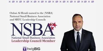 Article: twigBIG CEO Joins NSBA Leadership Council to Support Small Business Tech Innovation - New York Weekly