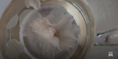 Article: AI: Your Job Search Copilot