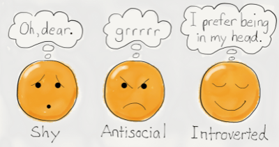 Link: Being an Introverted Leader