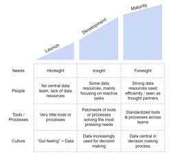 Article: Building Analytically Mature Organizations (AMO)