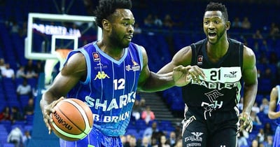 Article: From Professional Basketball to Cybersecurity