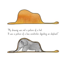 Article: Lessons in Software Testing from ‘The Little Prince’