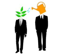 Article: Mentoring Best Practices