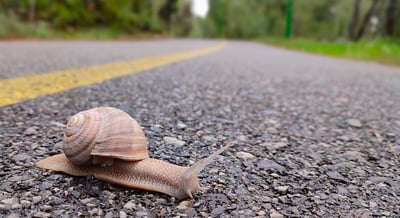 Article: My Developers Are Too Slow