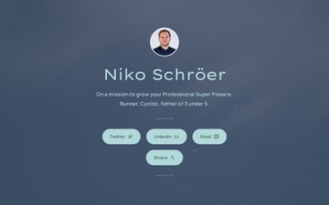 Link: Niko Schröer