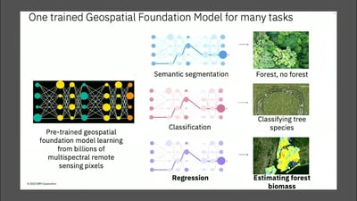 Video: Singh & Srinivasan - Using Generative AI and Foundation Models to Predict Above Ground Biomass