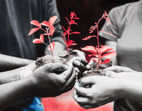Link: The need for frequent upskill in the age of GenAI