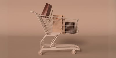 Article: twigBIG: The AI & AR Solution Fixing Online Shopping - CEO Weekly