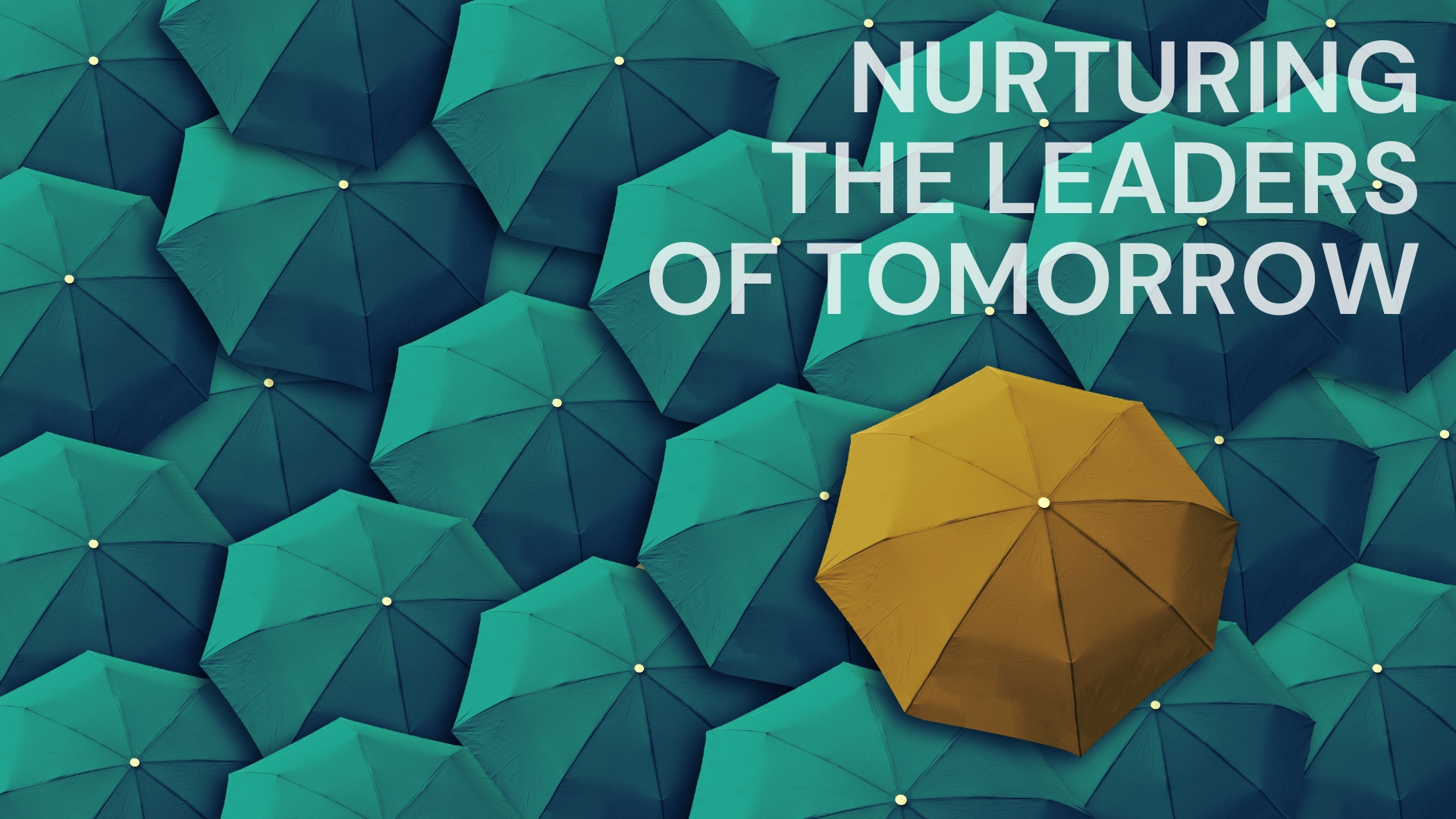 Nurturing The Leaders of Tomorrow